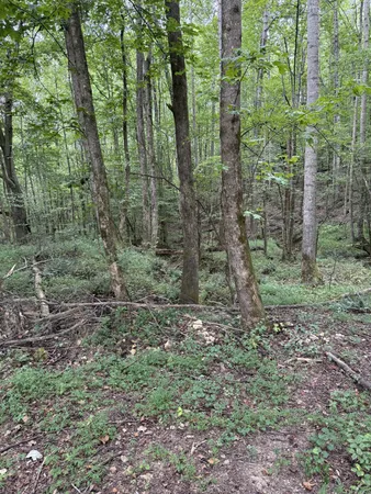 $275,000 | 1240 Johnson Branch Road, Pulaski, TN 38478