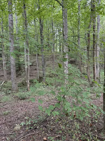 $275,000 | 1240 Johnson Branch Road, Pulaski, TN 38478