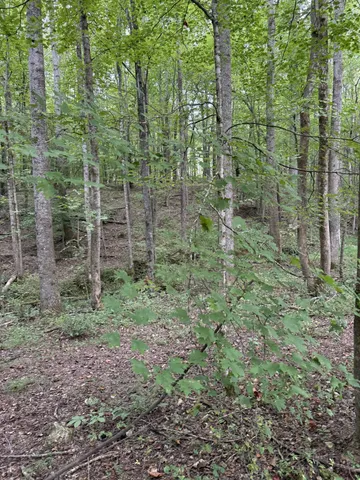 $294,500 | 1240 Johnson Branch Road, Pulaski, TN 38478