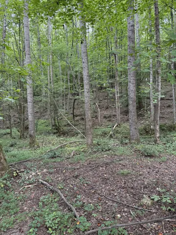 $294,500 | 1240 Johnson Branch Road, Pulaski, TN 38478