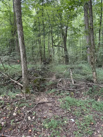 $275,000 | 1240 Johnson Branch Road, Pulaski, TN 38478