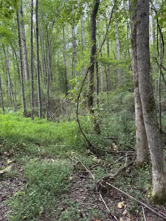 $275,000 | 1240 Johnson Branch Road, Pulaski, TN 38478