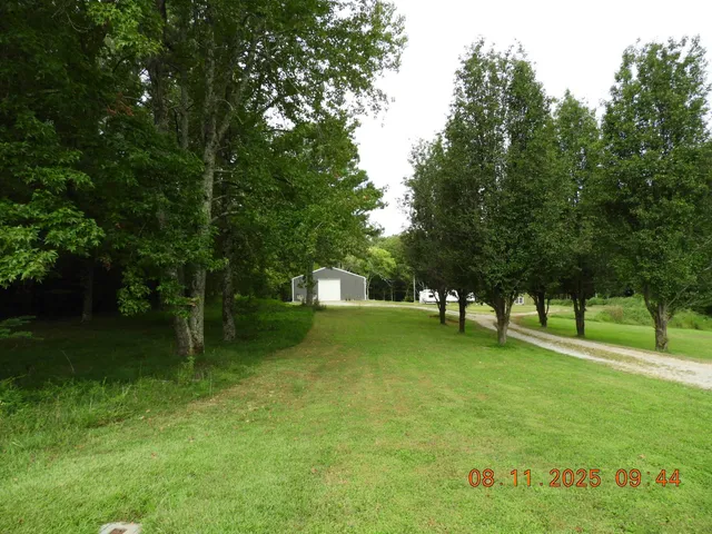 a view of a backyard