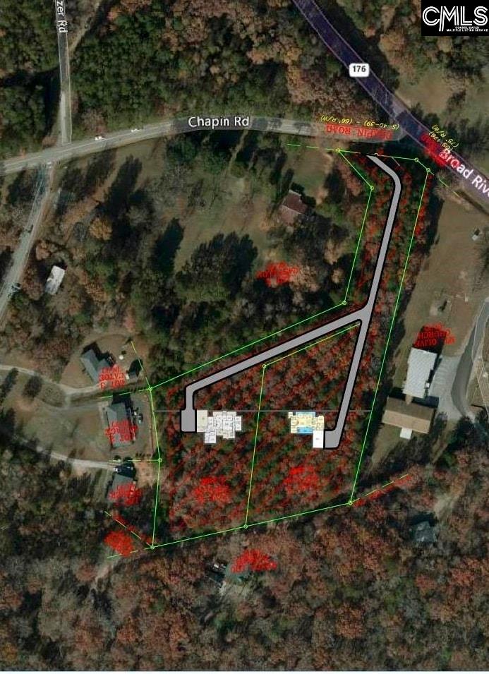 2458 Chapin Road Chapin, SC 29036 - Photo 6 of 10