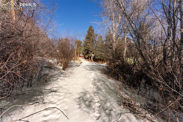 9660 Fountain Road Cascade, CO 80809 - Photo 13 of 21 View of driveway