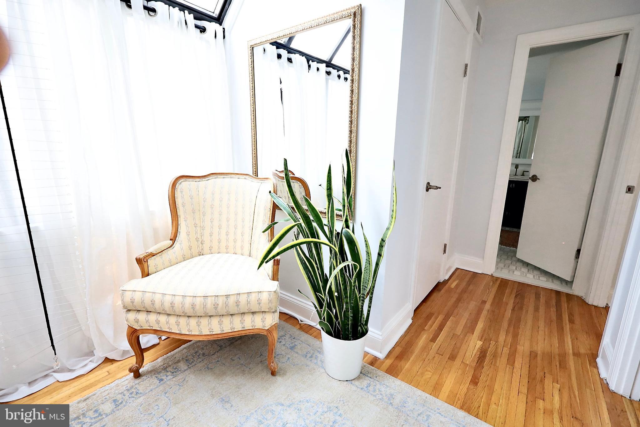 701 Lombard Street Philadelphia, PA 19147 - Photo 53 of 59 a living room with furniture and a potted plant