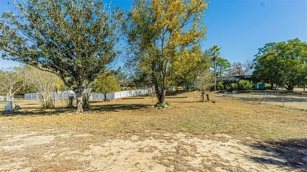 a view of yard with trees