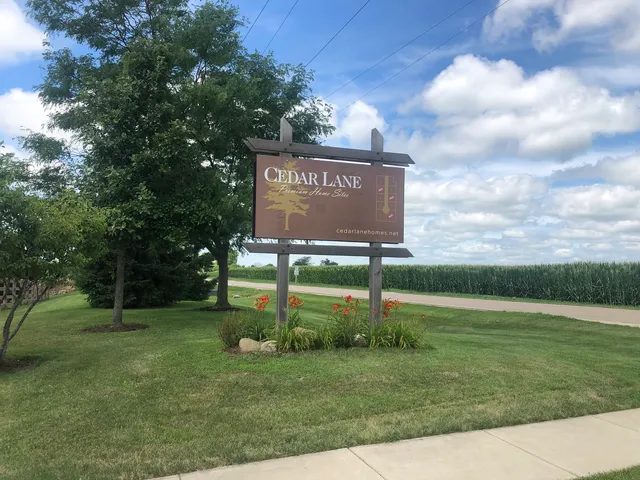 a view of a park with large trees