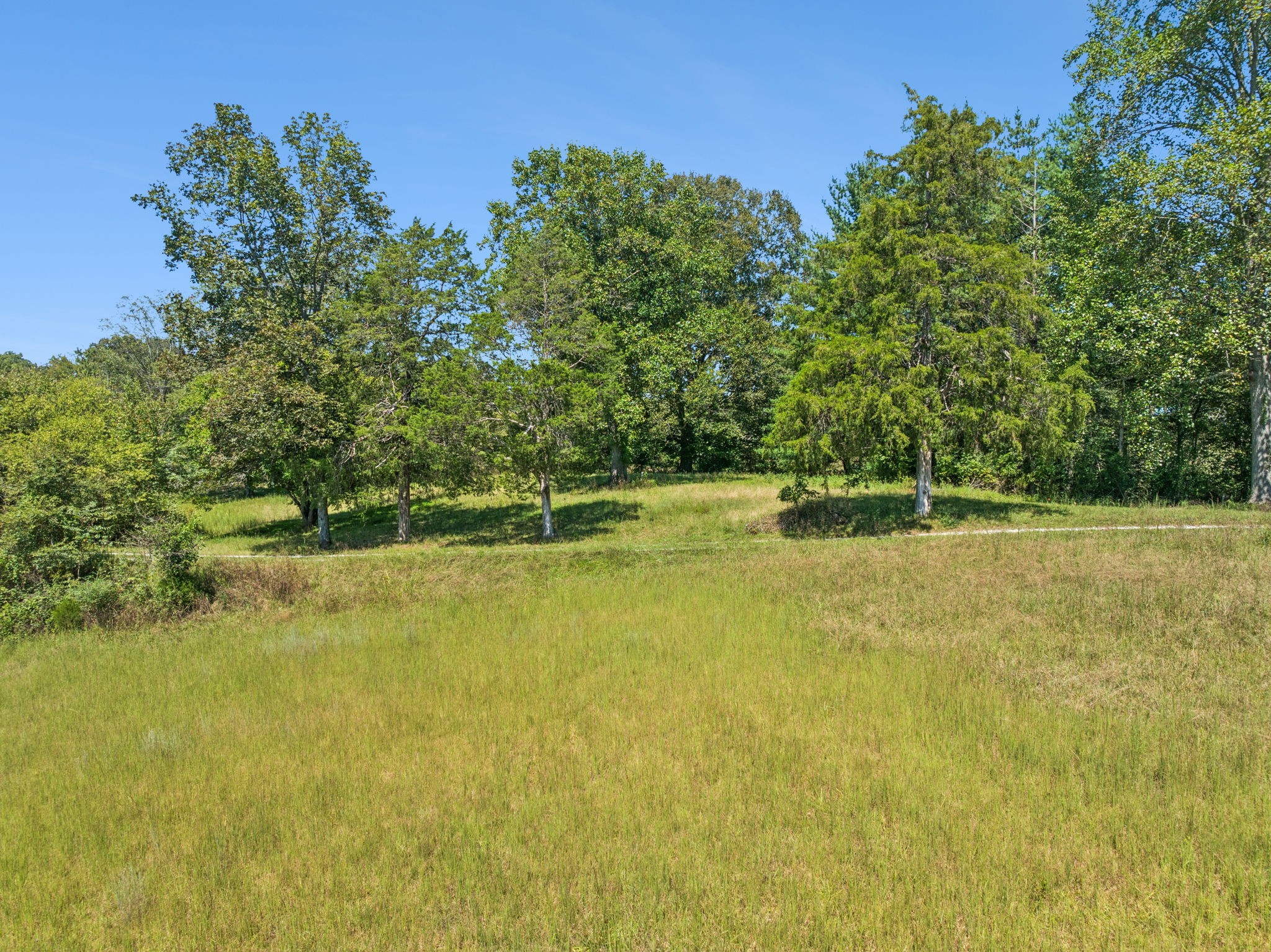 8272 Burgess Falls Road Baxter, TN 38544 - Photo 22 of 41