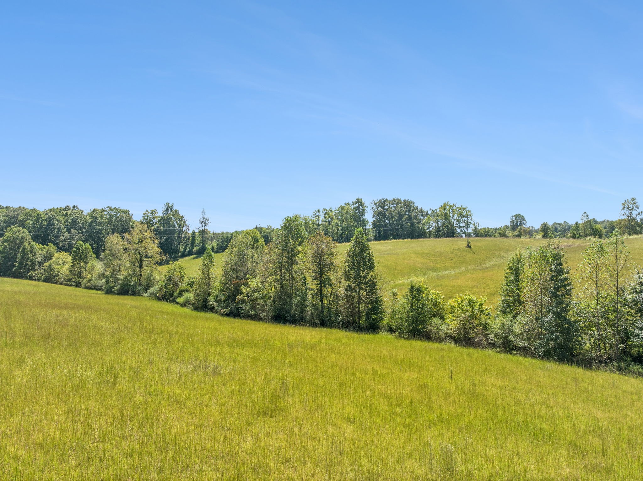 8272 Burgess Falls Road Baxter, TN 38544 - Photo 27 of 41
