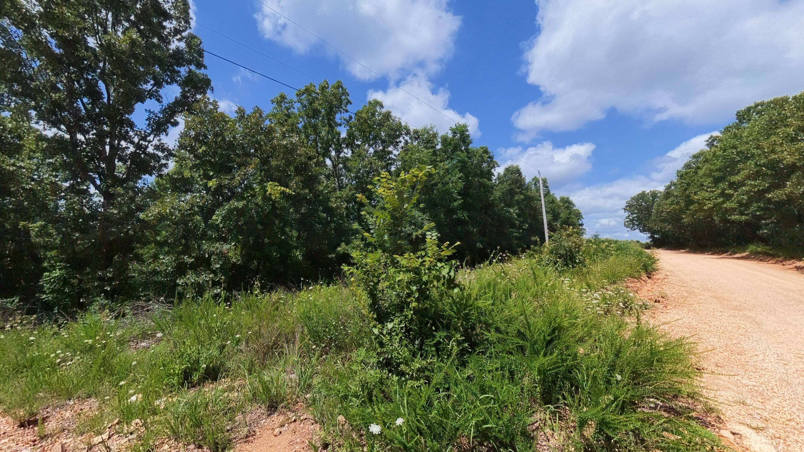 0 Ridgehaven Road Mammoth Spring, AR 72554 - Photo 16 of 23 10 acres001