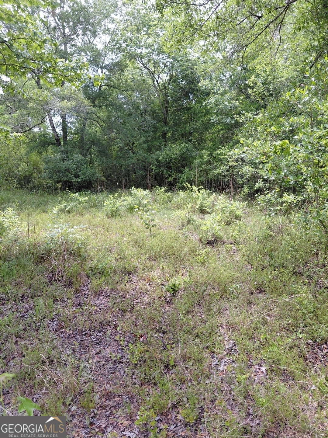 436 Russell Boulevard St. George, GA 31562 - Photo 16 of 33