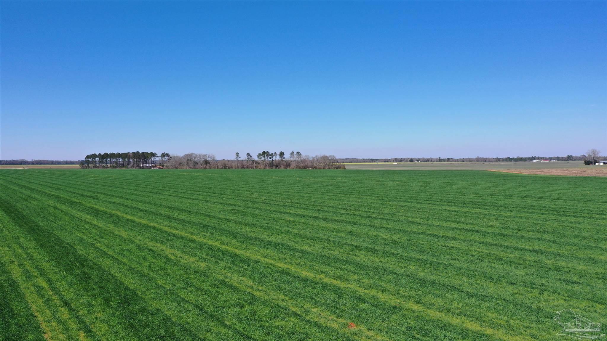 Lot 14 Davis Pond Road Atmore, AL 36502 - Photo 1 of 14