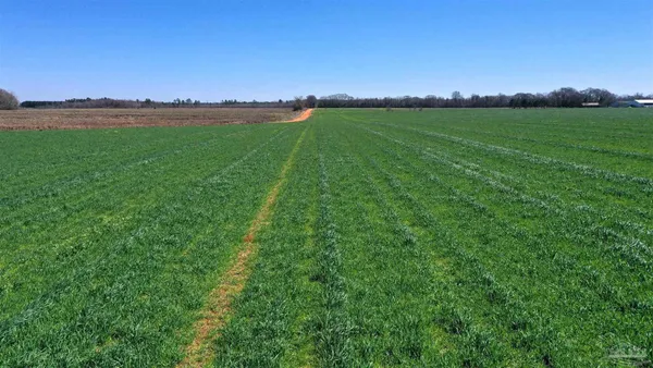 $166,350 | Lot 14 Davis Pond Road, Atmore, AL 36502