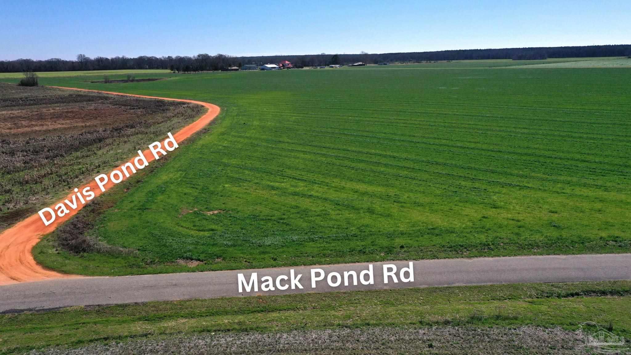 Lot 14 Davis Pond Road Atmore, AL 36502 - Photo 11 of 14