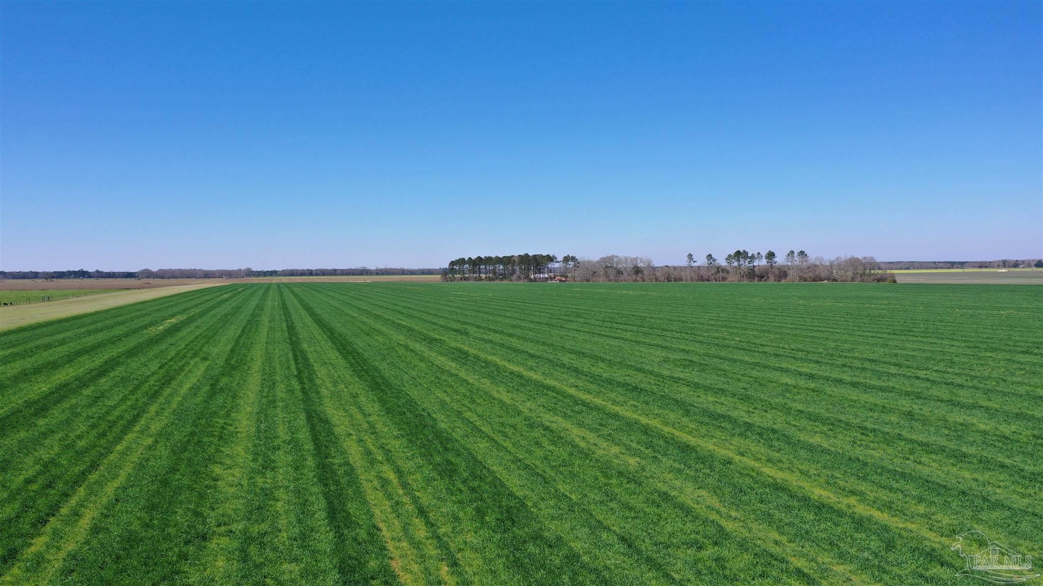 Lot 14 Davis Pond Road Atmore, AL 36502 - Photo 2 of 14