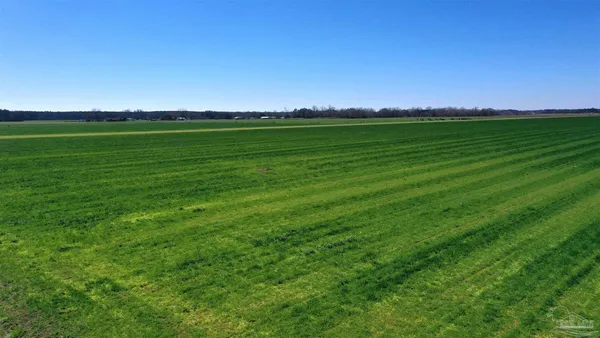 $166,350 | Lot 14 Davis Pond Road, Atmore, AL 36502