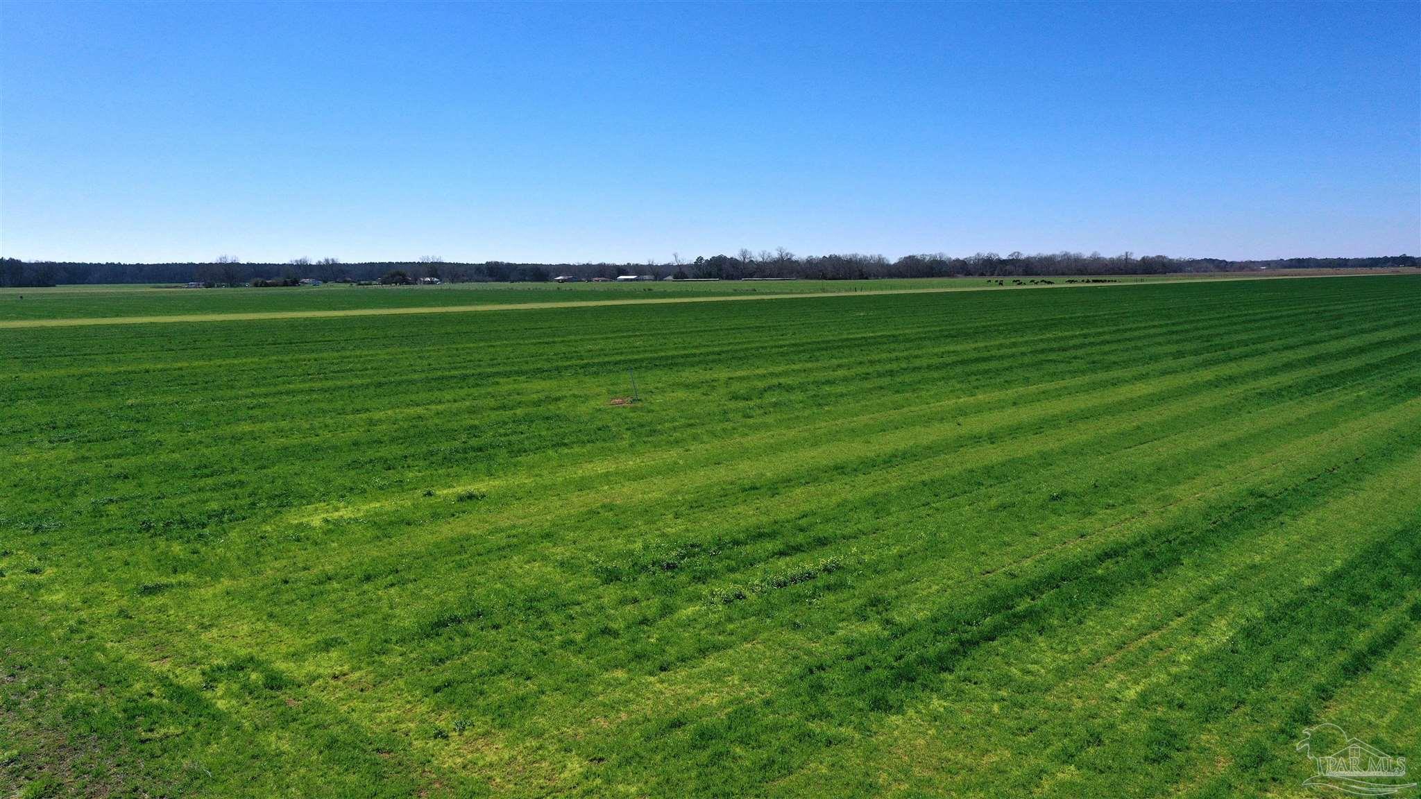 Lot 14 Davis Pond Road Atmore, AL 36502 - Photo 5 of 14