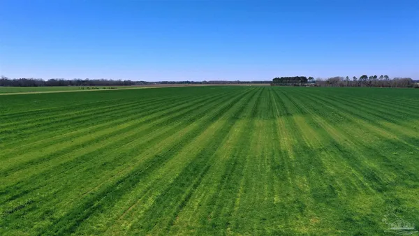 $166,350 | Lot 14 Davis Pond Road, Atmore, AL 36502