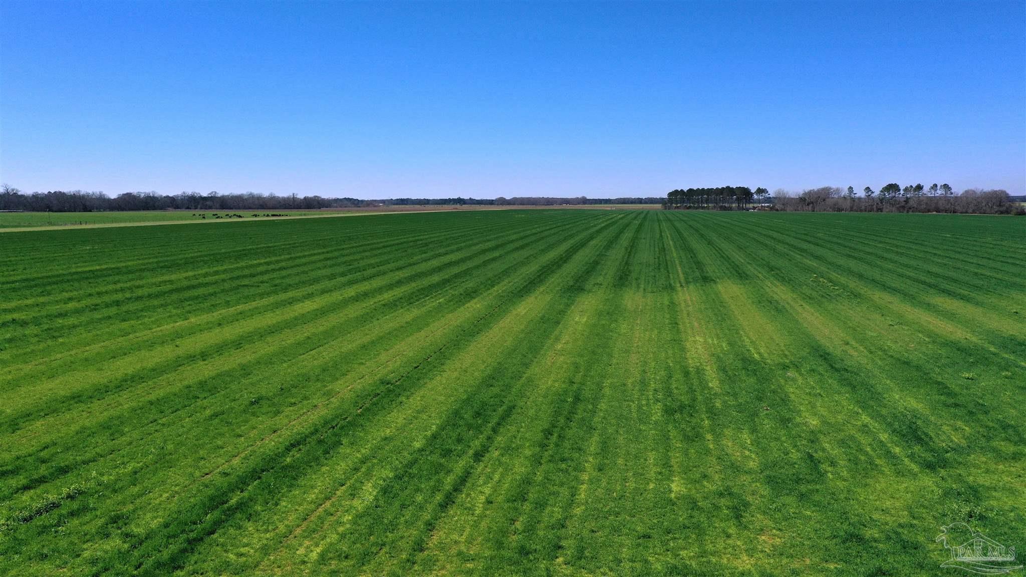 Lot 14 Davis Pond Road Atmore, AL 36502 - Photo 6 of 14