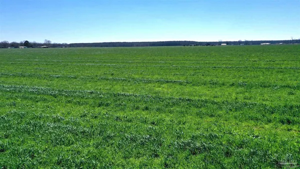 $166,350 | Lot 14 Davis Pond Road, Atmore, AL 36502