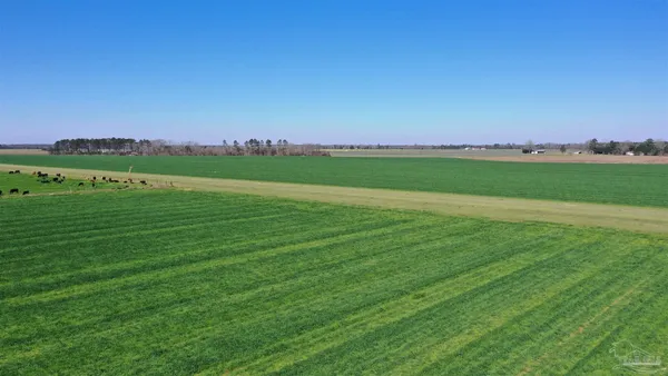 $166,350 | Lot 14 Davis Pond Road, Atmore, AL 36502