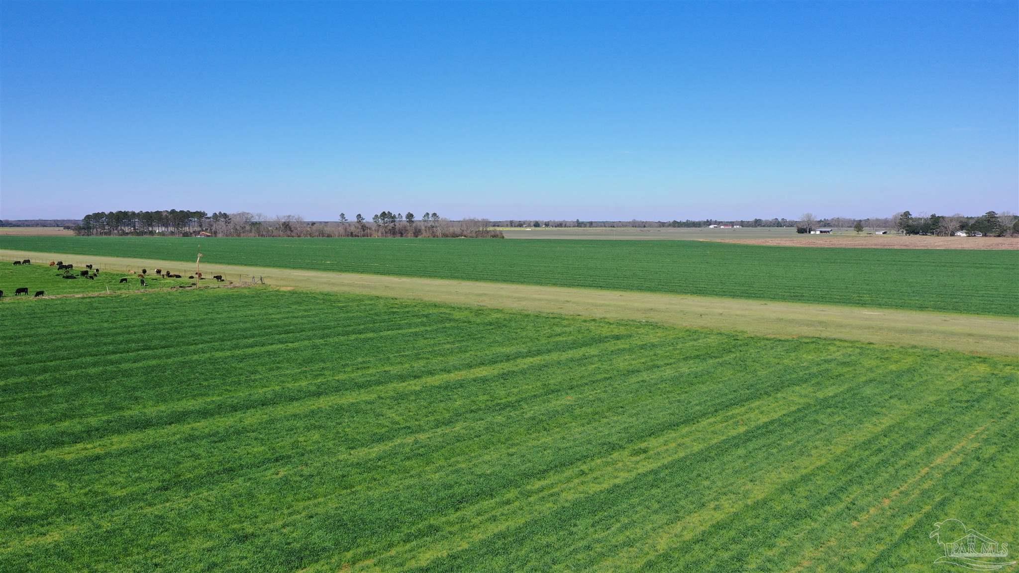 Lot 14 Davis Pond Road Atmore, AL 36502 - Photo 8 of 14