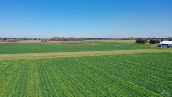 $166,350 | Lot 14 Davis Pond Road, Atmore, AL 36502