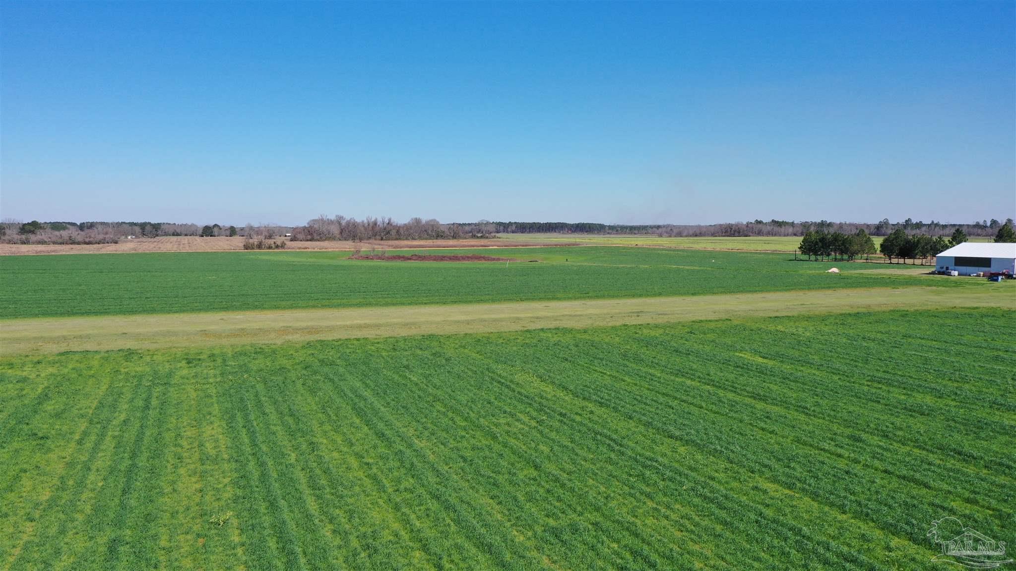 Lot 14 Davis Pond Road Atmore, AL 36502 - Photo 9 of 14