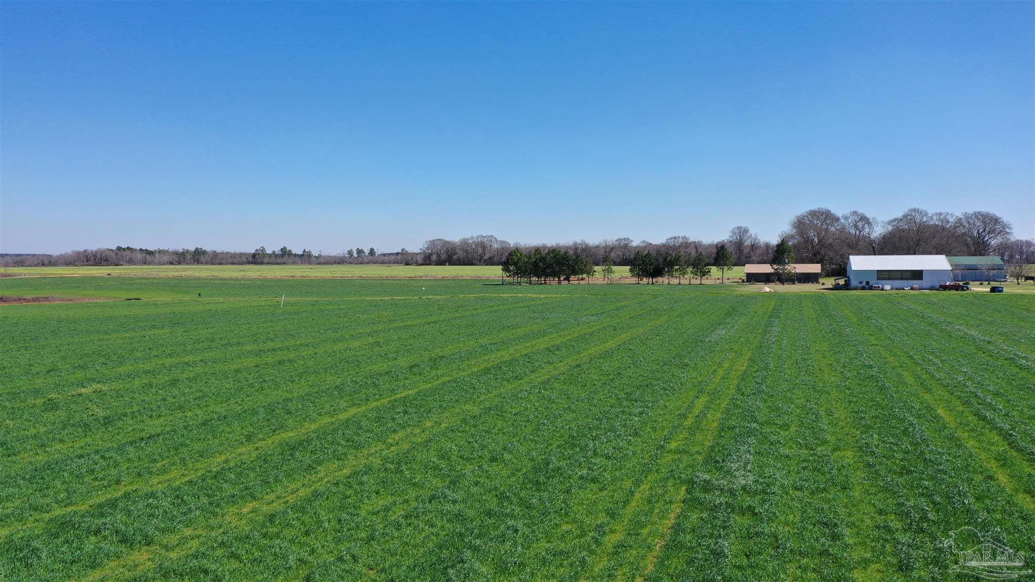 Lot 14 Davis Pond Road Atmore, AL 36502 - Photo 10 of 14