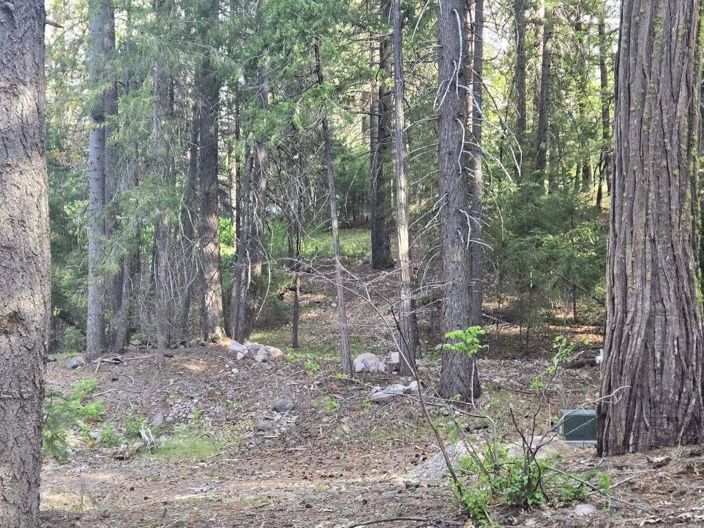 2017 North Old Stage Road Mount Shasta, CA 96067 - Photo 8 of 8 Gallery Image 8