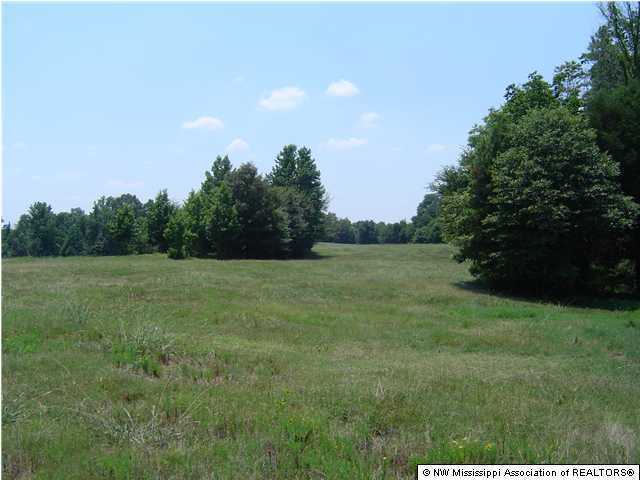 11 Sycamore Road Coldwater, MS 38618 - Photo 1 of 2 Primary Photo