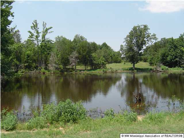 11 Sycamore Road Coldwater, MS 38618 - Photo 2 of 2 Additional Photo