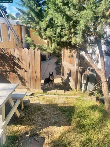 a view of a yard with wooden fence