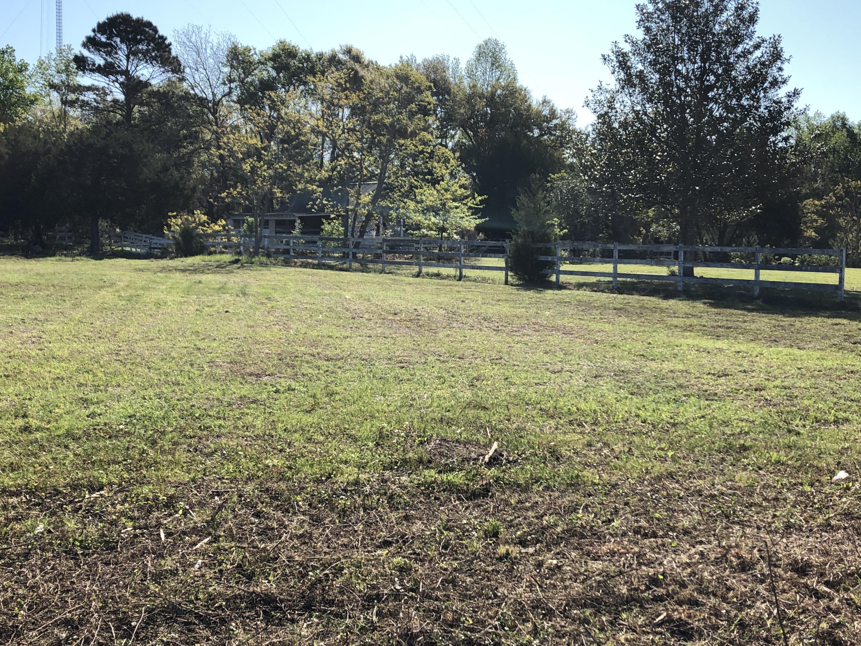 4911 Seewee Road Awendaw, SC 29429 - Photo 2 of 19 Front of lot facing stable