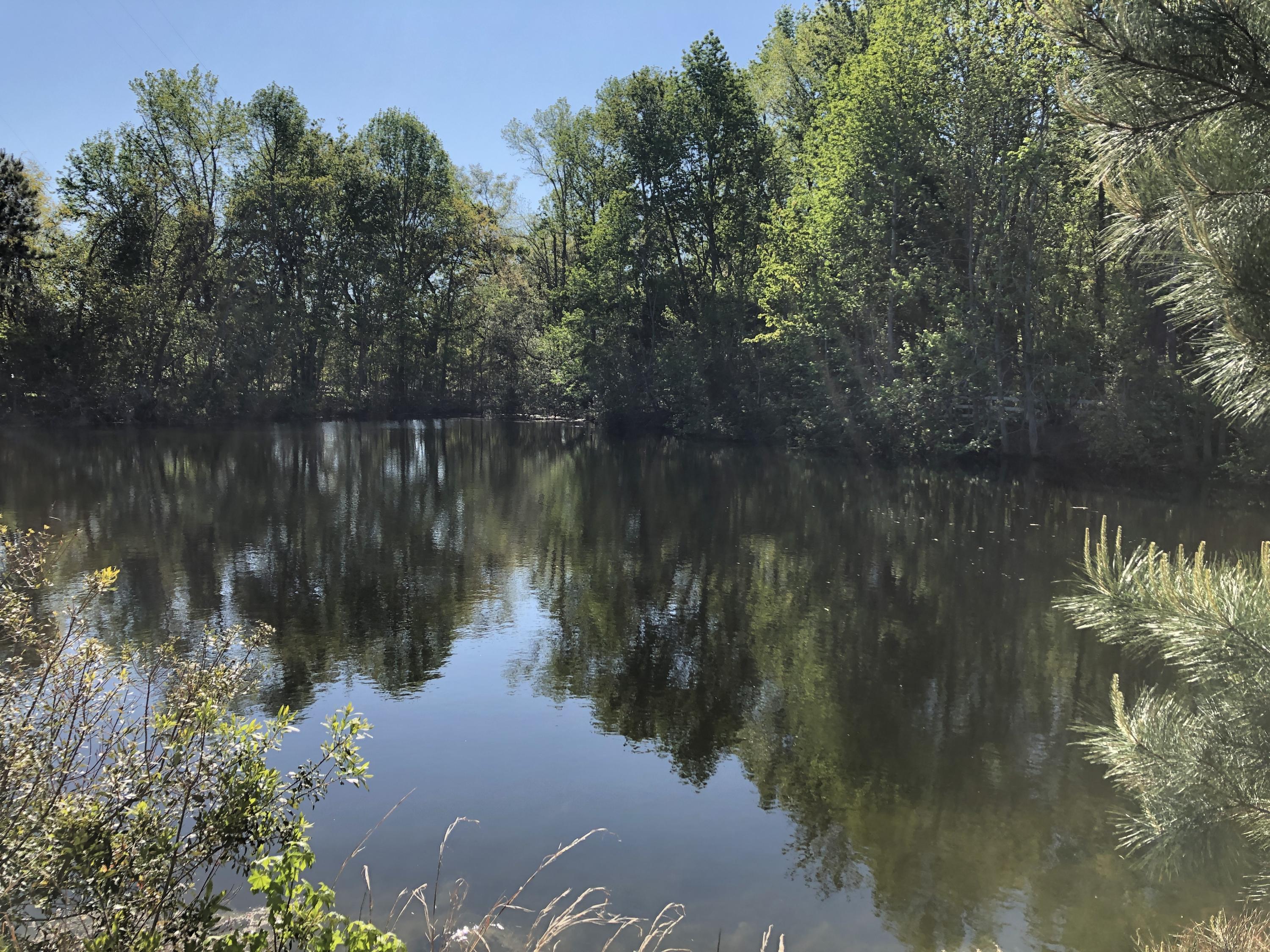 4911 Seewee Road Awendaw, SC 29429 - Photo 3 of 19 Pond