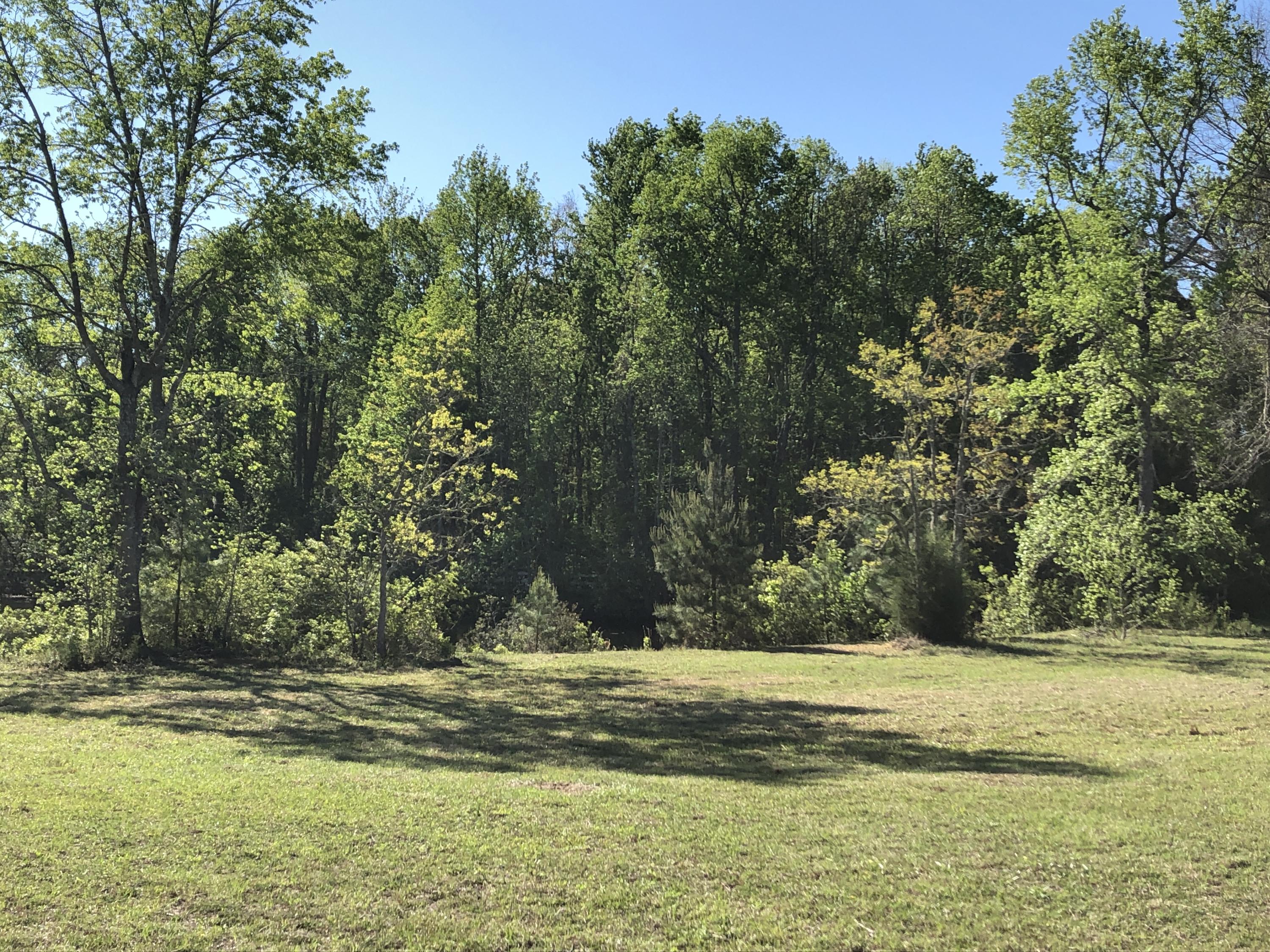 4911 Seewee Road Awendaw, SC 29429 - Photo 8 of 19 Front right to pond