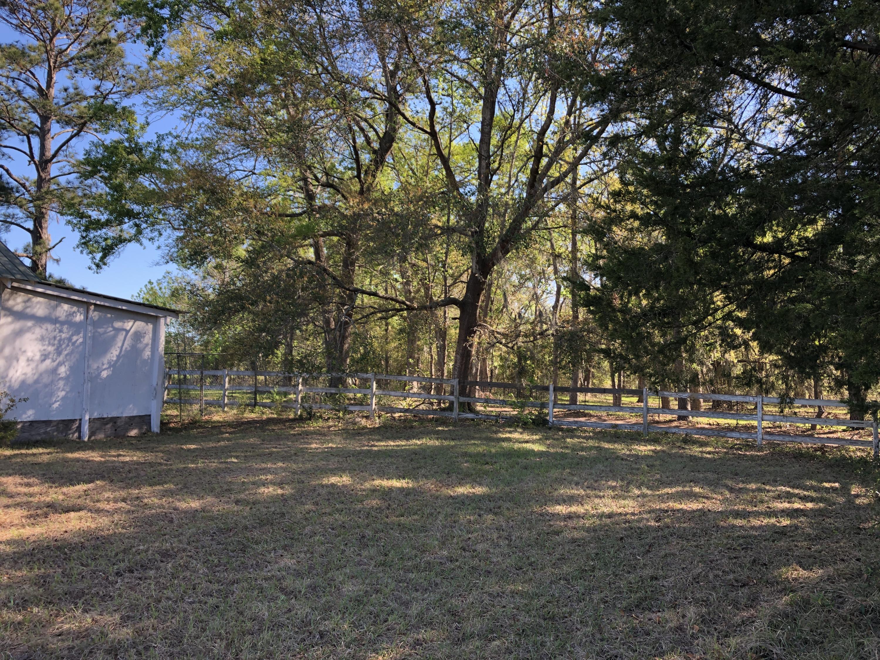 4911 Seewee Road Awendaw, SC 29429 - Photo 9 of 19 Looking to left property line by stable