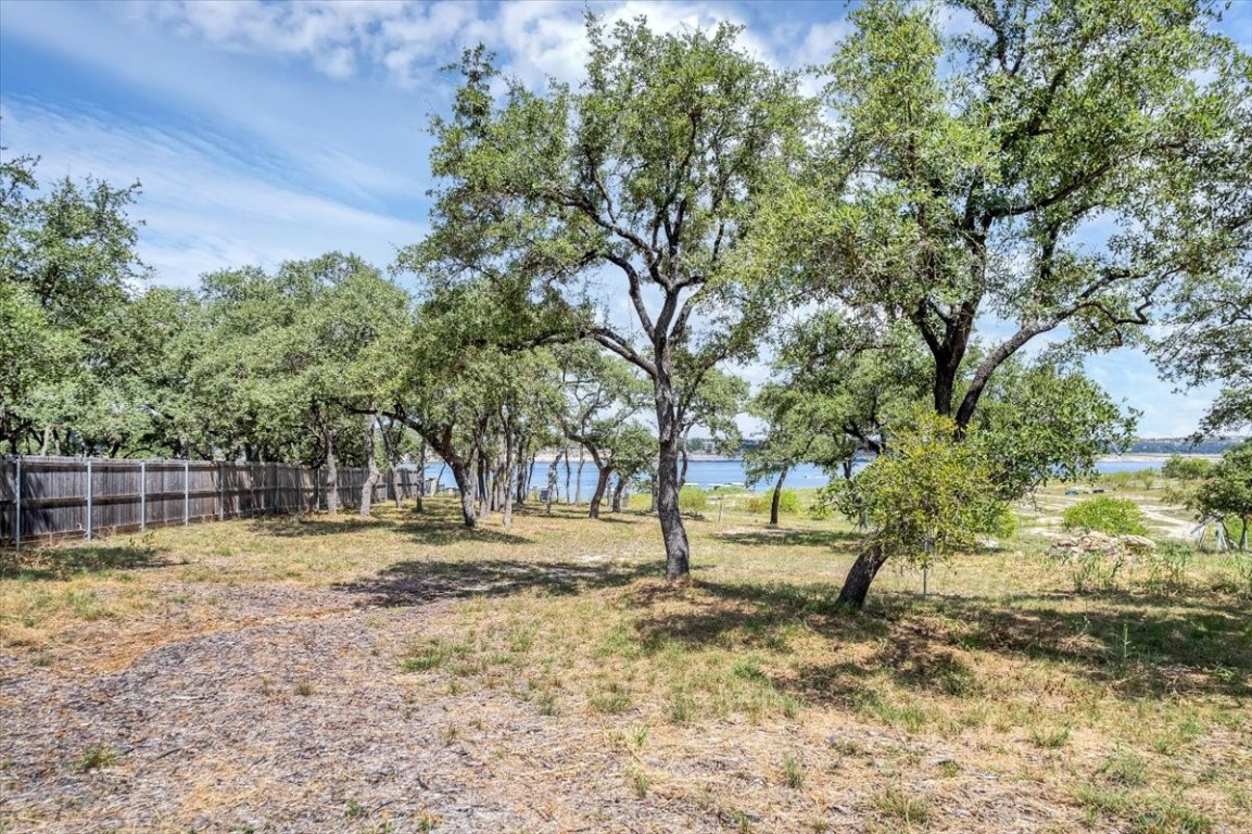1519 Chipmunk Road Austin, TX 78734 - Photo 14 of 20 a view of dirt yard with a tree