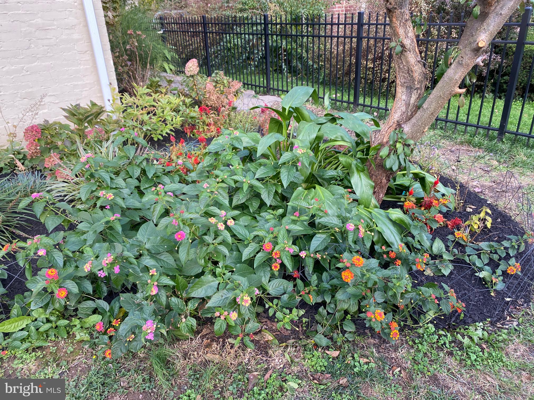 2917 Haverford Road Ardmore, PA 19003 - Photo 35 of 40 Gardens