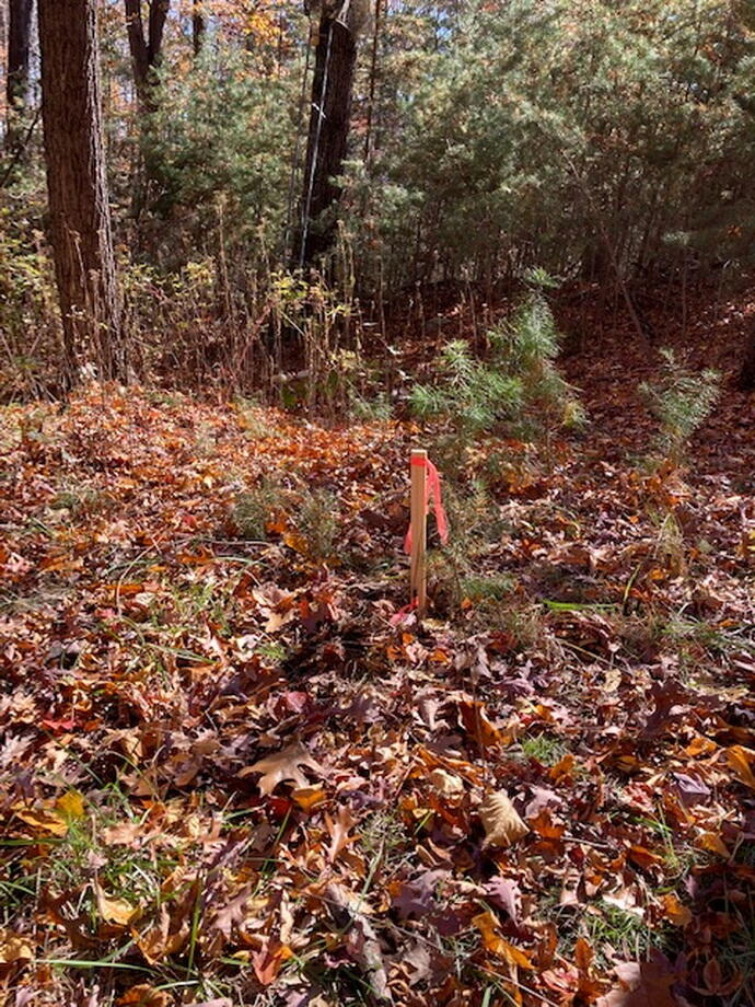 4863 Stanley Farm Road Salem, VA 24153 - Photo 11 of 14 IMG_1405_34_resize