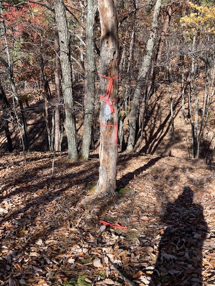 4863 Stanley Farm Road Salem, VA 24153 - Photo 12 of 14 IMG_1405_35_resize