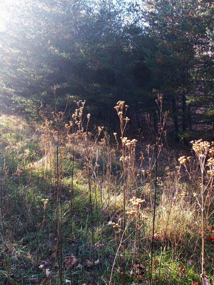 IMG_1405_19_resize