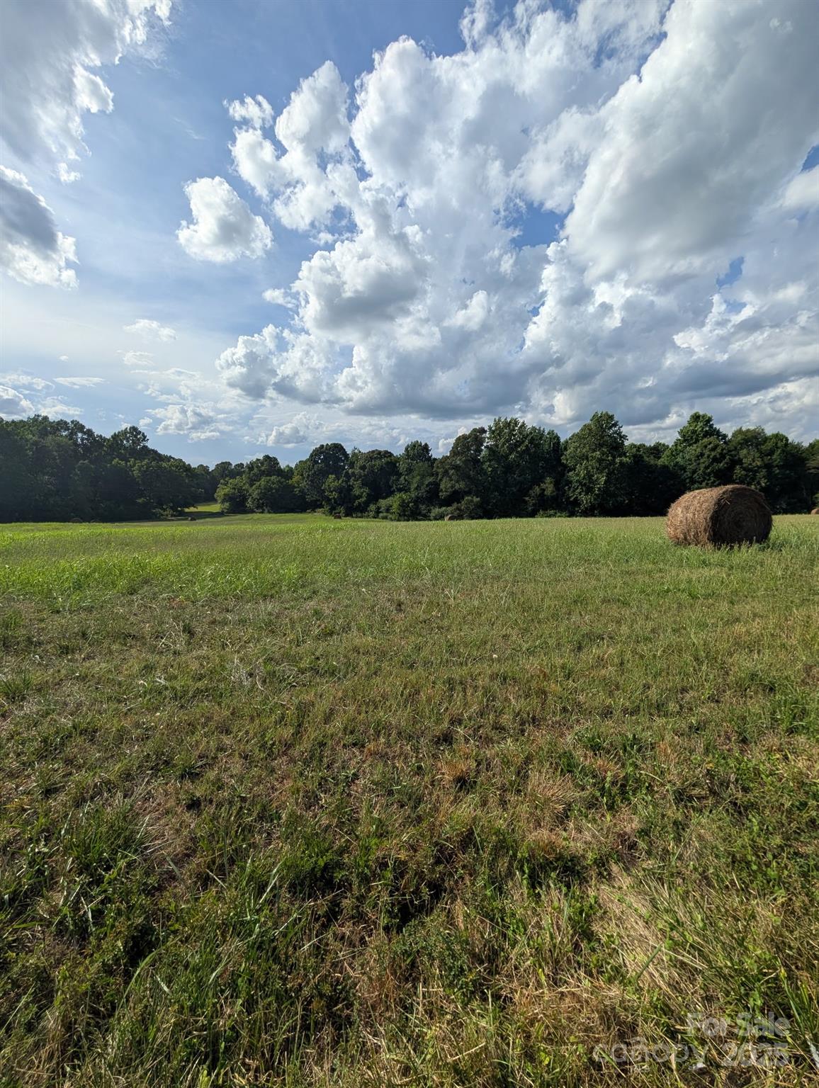 a view of an outdoor space and a yard