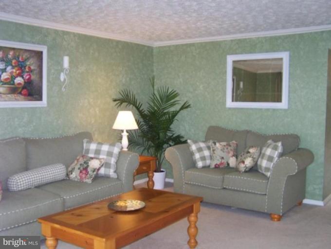 4005 Rustico Road Middle River, MD 21220 - Photo 18 of 20 a living room with furniture and a potted plant