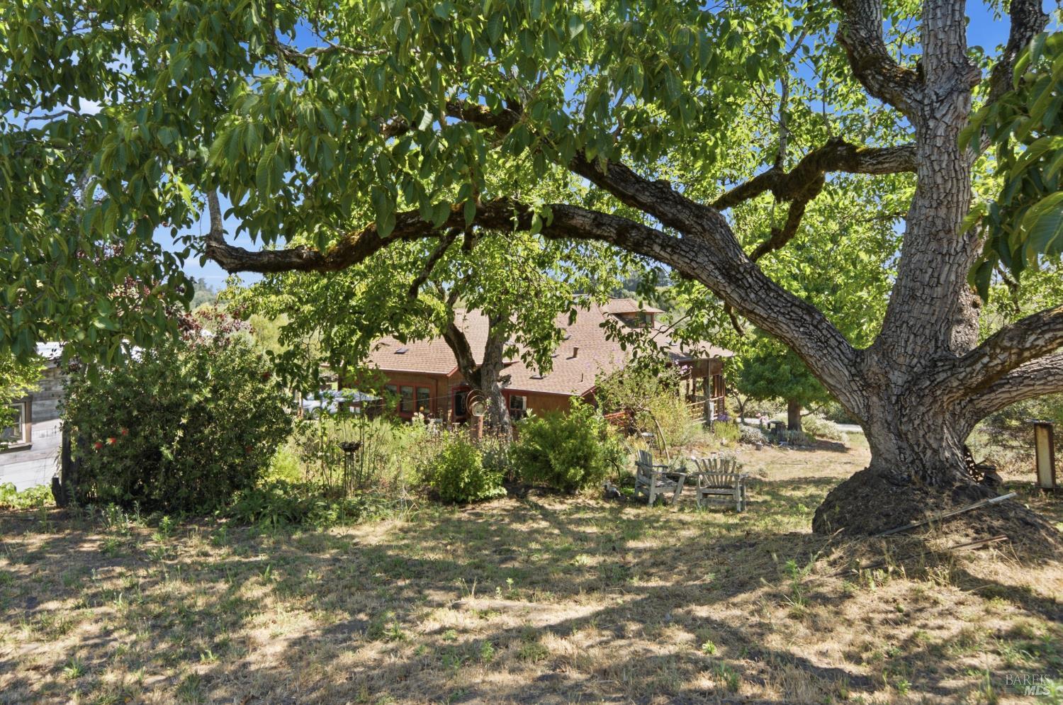 8650 Savio Road Sebastopol, CA 95472 - Photo 27 of 52 Gallery Image 27