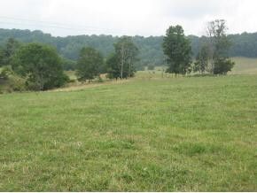Lot 2 Hales Chapel Road Gray, TN 37615 - Photo 8 of 9 Photo 8