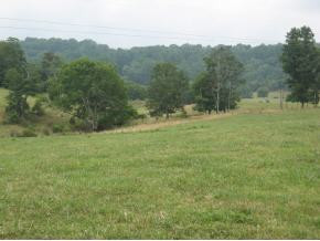 Lot 2 Hales Chapel Road Gray, TN 37615 - Photo 9 of 9 Photo 9