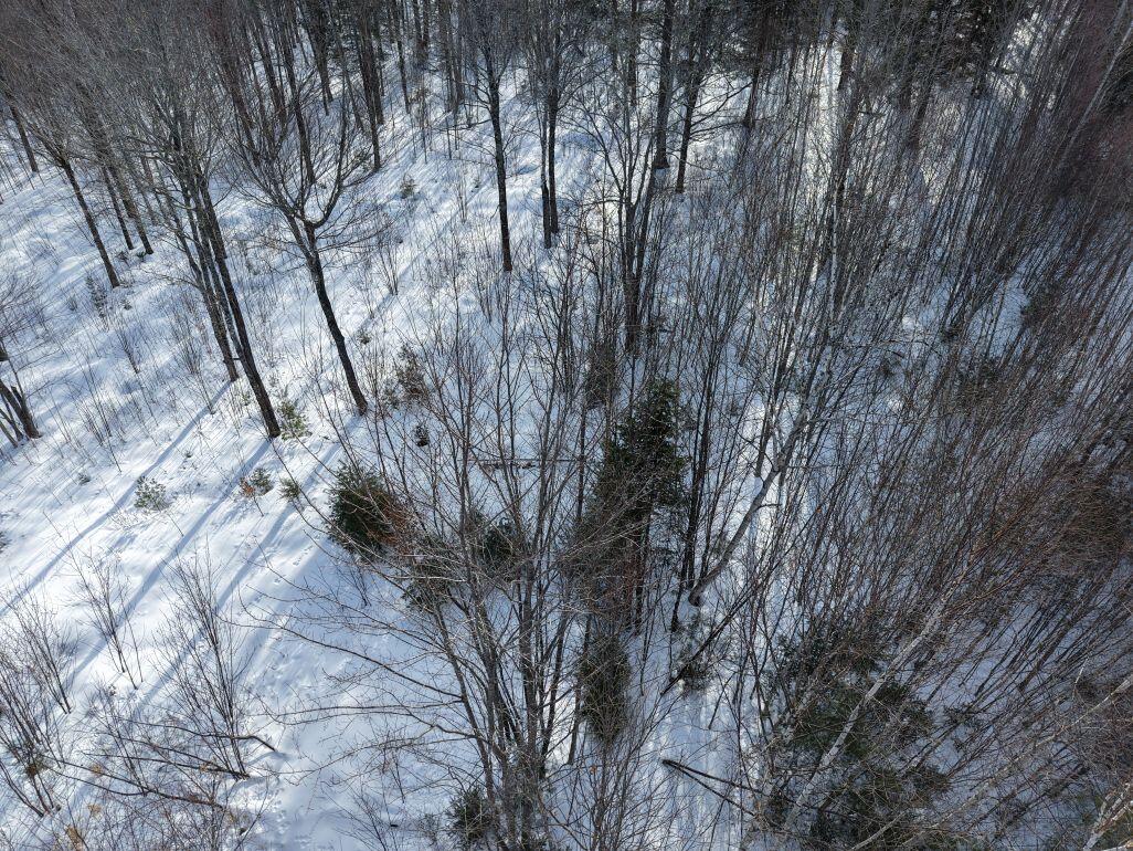M7-l13-1 Pine Bluff Road Embden, ME 04958 - Photo 8 of 22