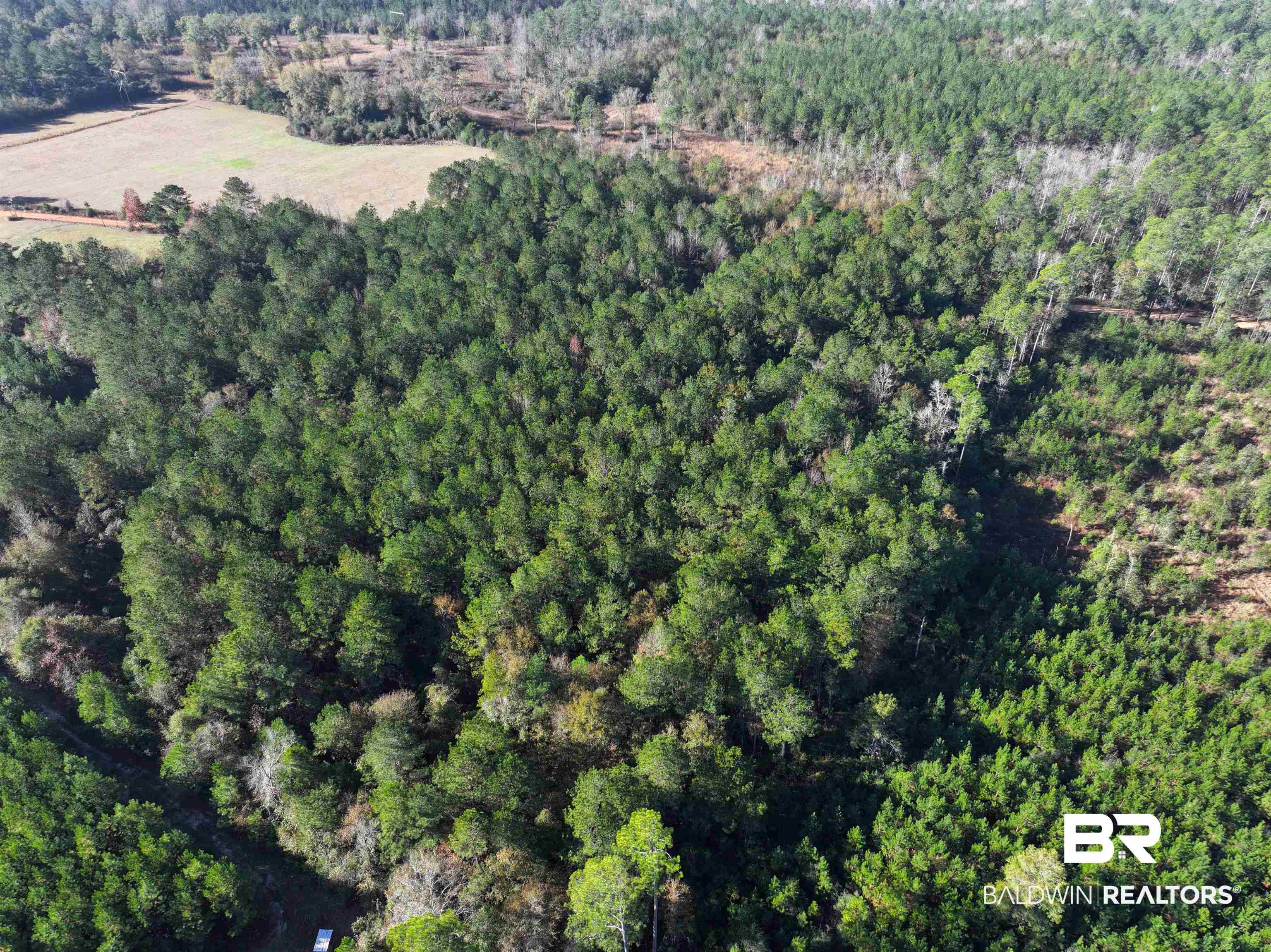 0 Judge Level Road Brewton, AL 36426 - Photo 8 of 9 Birds eye view of property